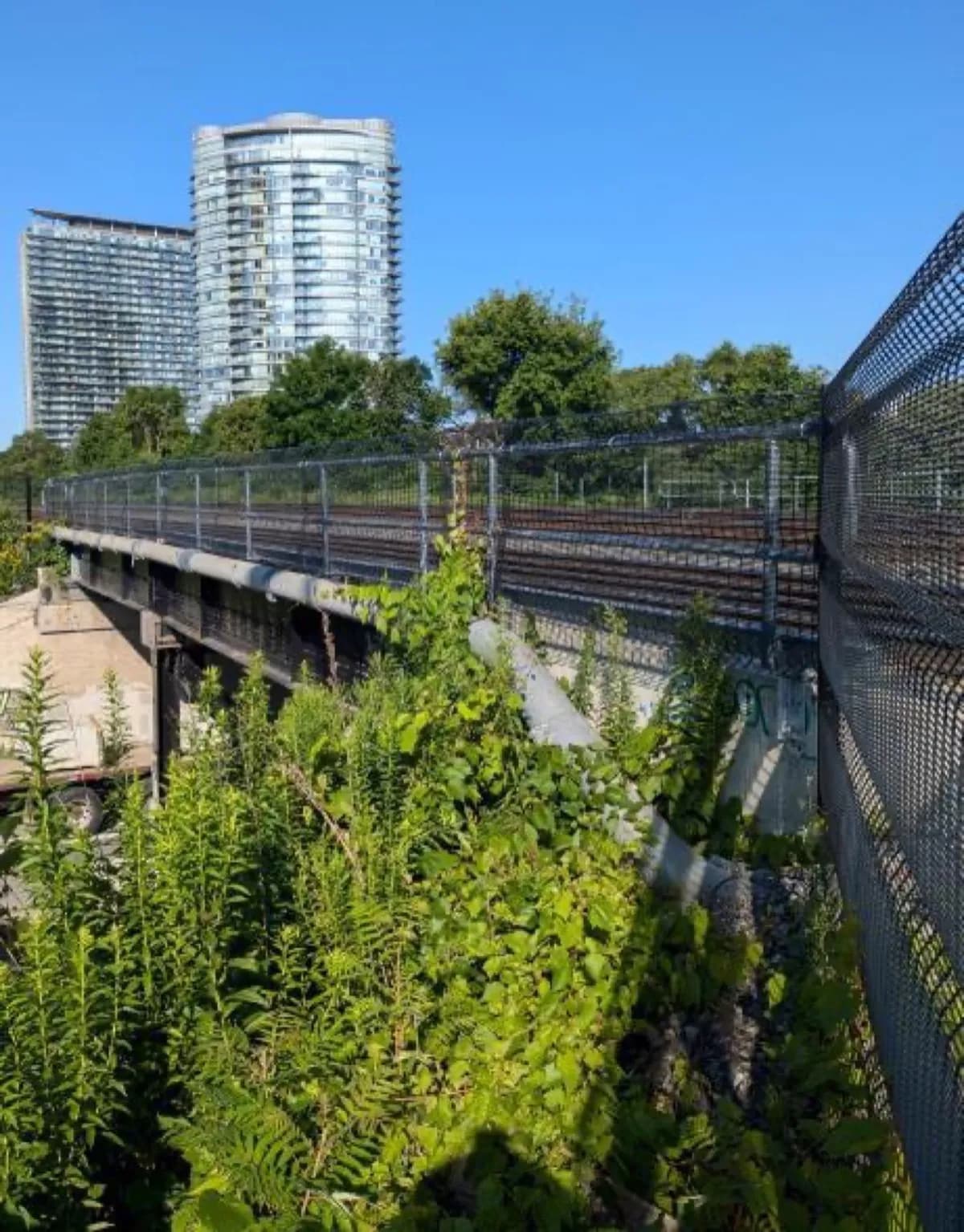 METROLINX – Toronto (GTA), Ontario image